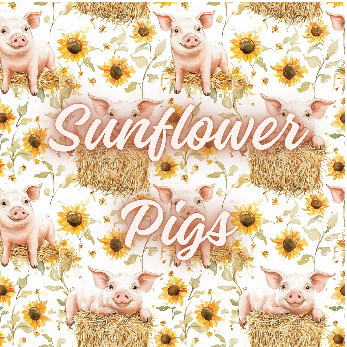 Sunflower Pigs